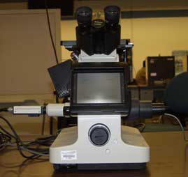 microscope